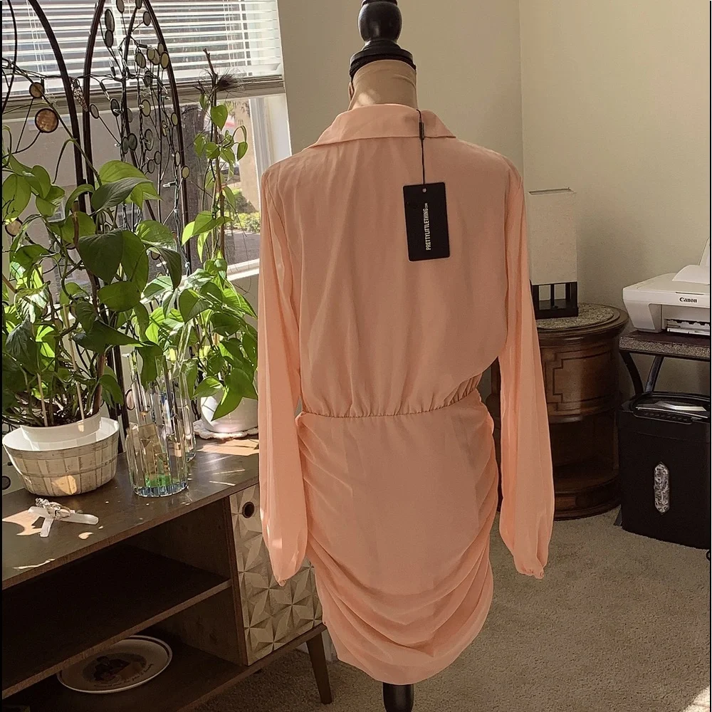 Chiffon fabric dresses Size 10 NWT - Picture 7 of 11